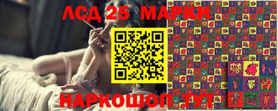 Альфа ПВП Новодвинск