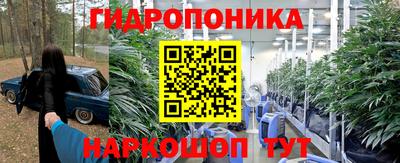 Альфа ПВП Новодвинск