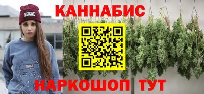 тгк Новозыбков