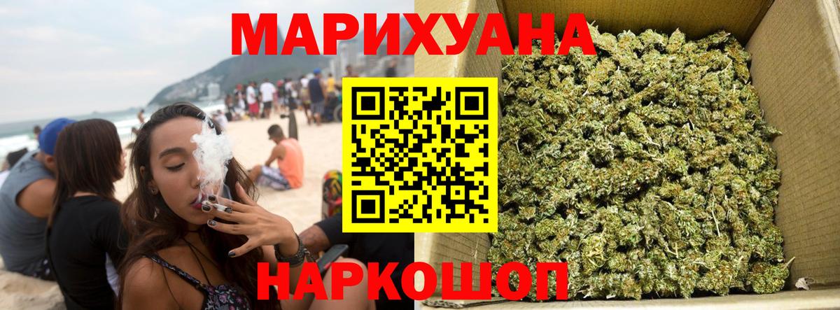 Конопля сатива Татарск